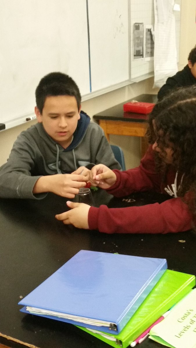 writeon4611's tweet photo. Refining our TRF skillz by Saving Sam. #Samistheworst #youkilledsam #tutorials #useyourverbs #Costas  @WalkerMiddleIB @HCPS_AVID https://t.co/7B1tgVl5eL