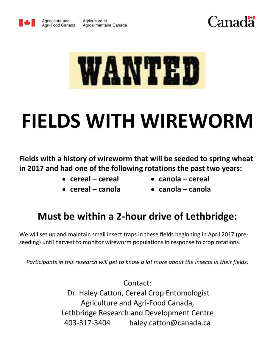 haleycatton's tweet photo. Still looking for a few more #wireworm fields within 2 hrs of Lethbridge. Good chance to learn what's in your fields. Pass it on #entomology https://t.co/ad0crtda4v