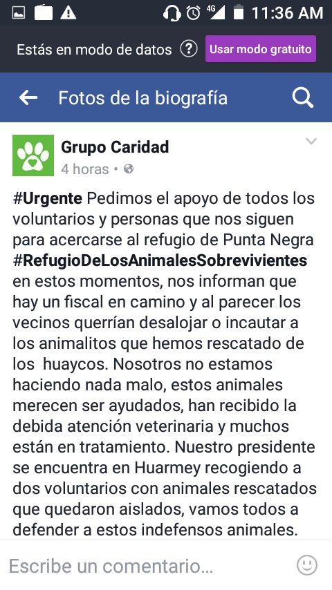 titta0981's tweet photo. @rodgonzalezl @Yiddaeslavap @ErnestoJimenex No dejen q los desalojen!!! https://t.co/ShCy62nVEh