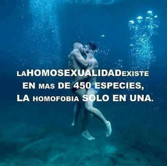 EboliLGTBI's tweet photo. #SerHomosexual , NO es voluntario; la #incitaciónAlOdio , SÍ lo es! 🏳️🌈❤️❌👊🏻👎🏻 https://t.co/wNcZz5ctYe