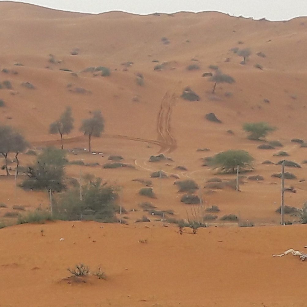 growme01's tweet photo. Ras Al khaimah Red. It rained on the desert. #rainuae #rak https://t.co/EiAzeUqEfz