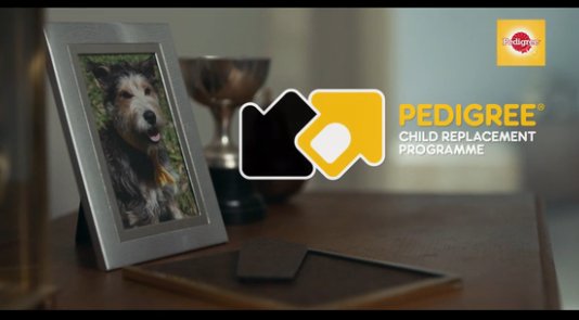 creativitymag's tweet photo. Pedigree offers parents a "child-replacement" program in funny new campaign https://t.co/YNimoRYZJ0 https://t.co/2Xquni3OzM