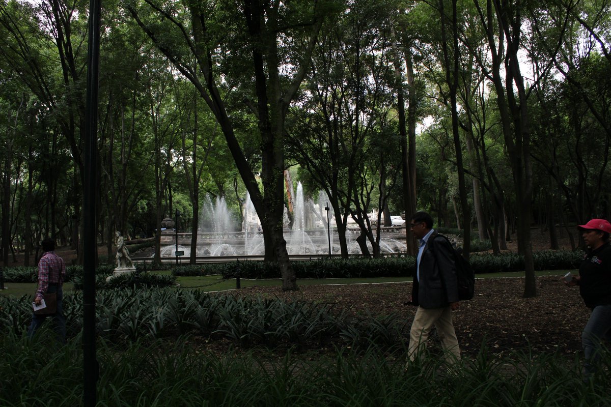 Metrópolis tweet media