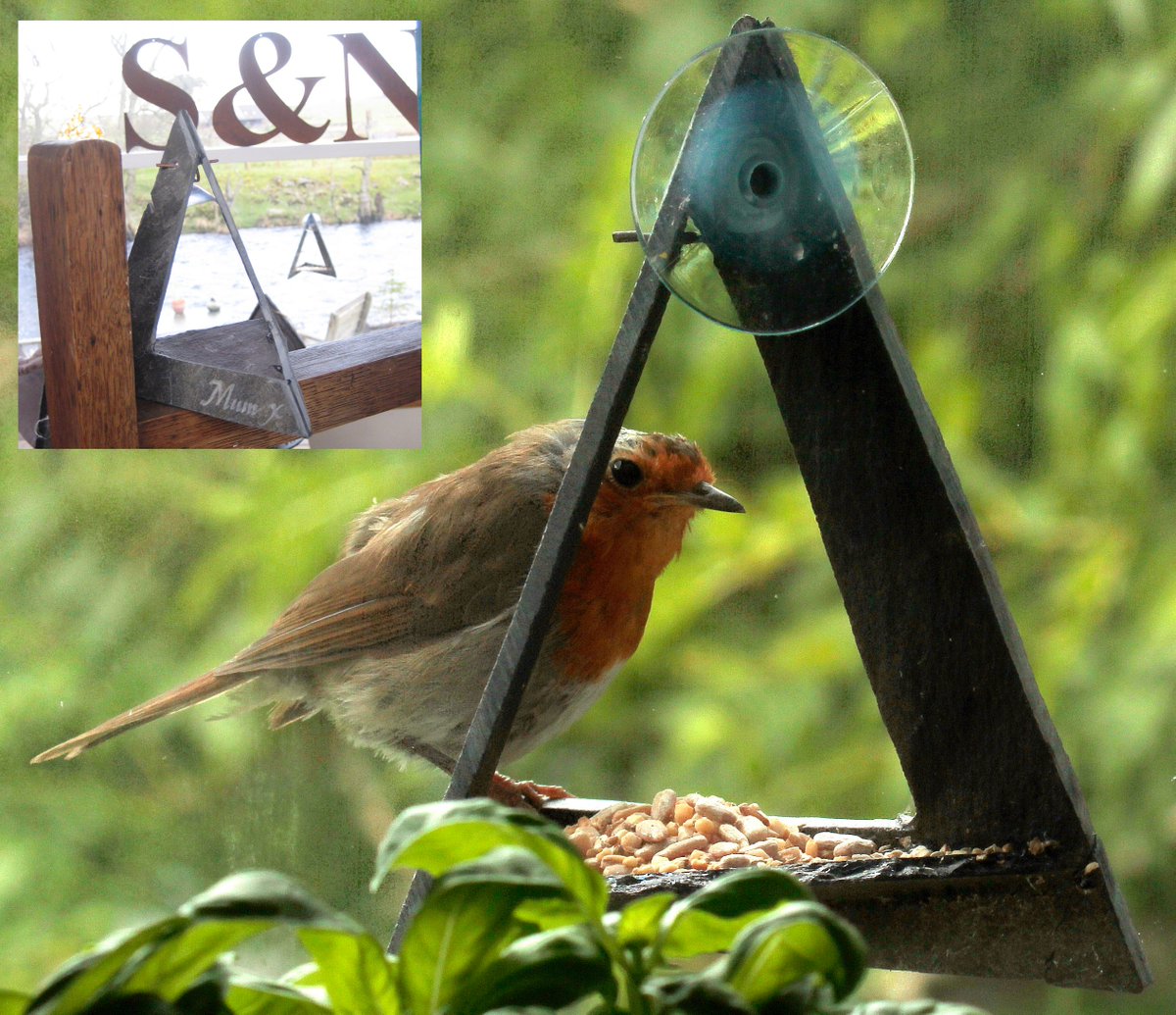 Slate and Nature tweet media