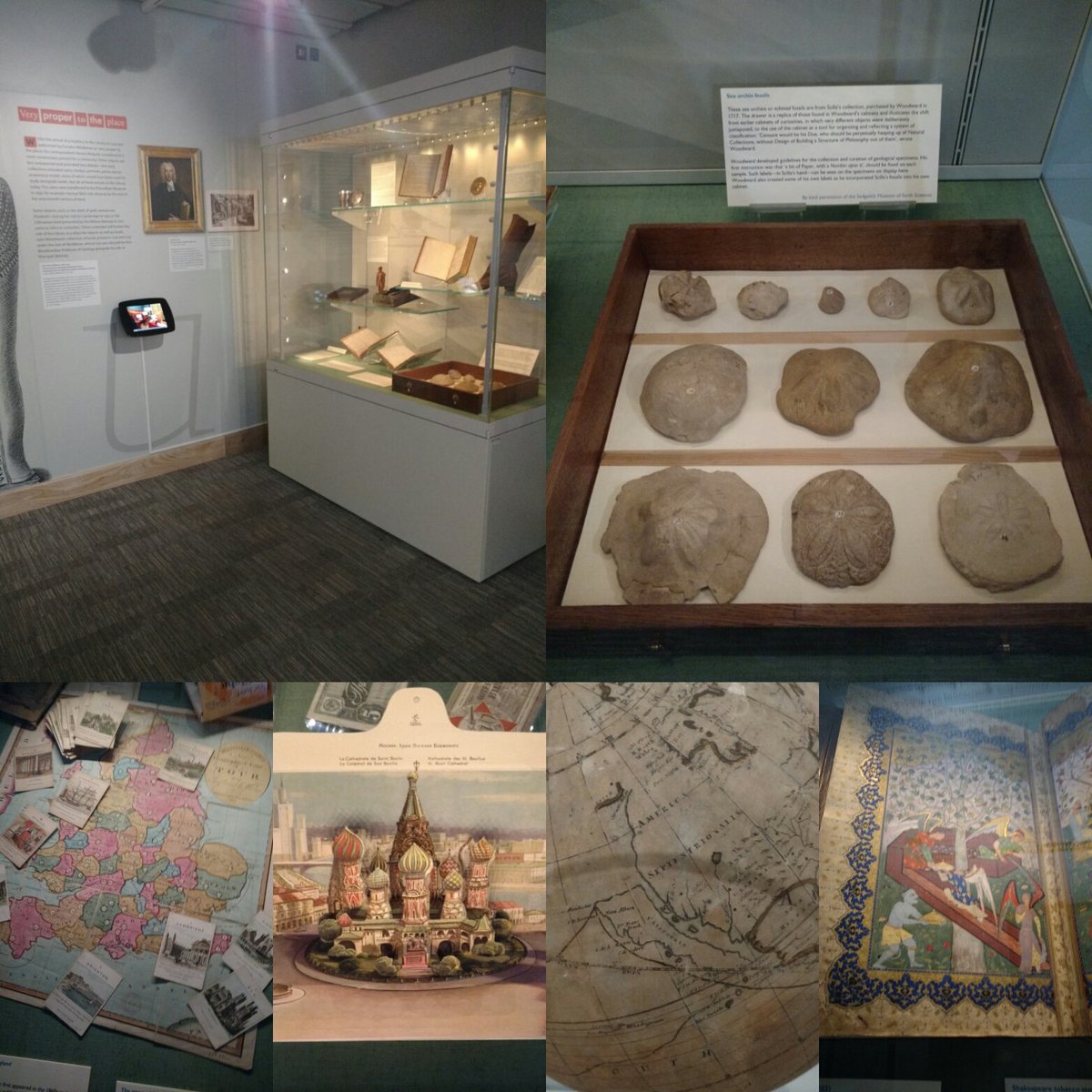 SedgArchivist's tweet photo. Enjoyable visit @theUL to see #ulcuriousobjects...eclectic, exquisite, engaging. Includes some @SedgwickMuseum treasures. Last day! https://t.co/T6u6Tc3Yva