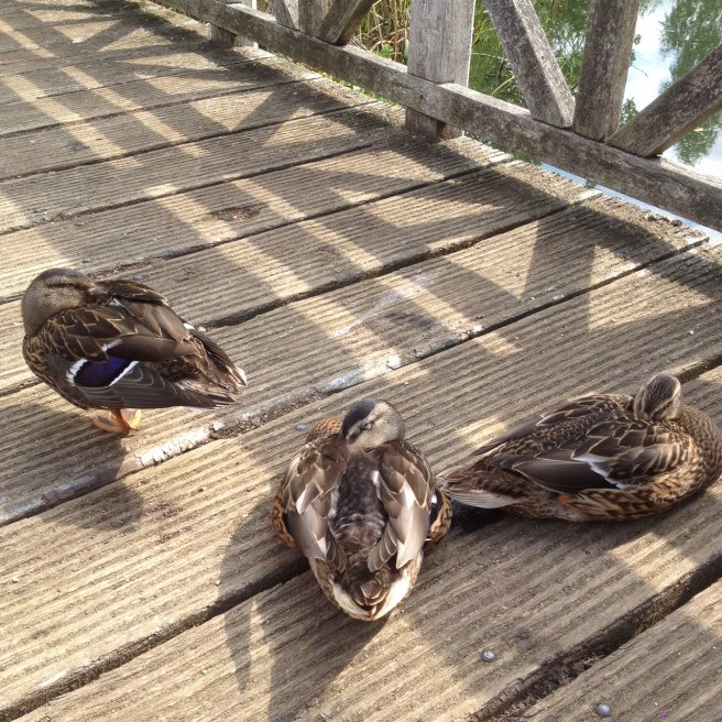 Family Fun London tweet media