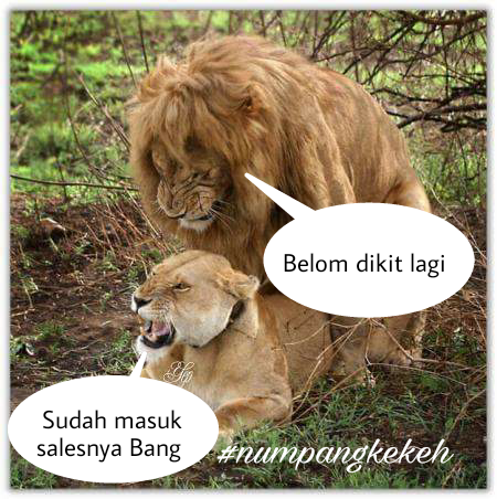 NasDem_Sumut's tweet photo. Lucu lucu #orangsales di akhir bulan #numpangkekeh  #Bangdicky https://t.co/C00rL1dBpb