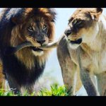 C7dSZzTVAAAB3rw.jpg:thumb