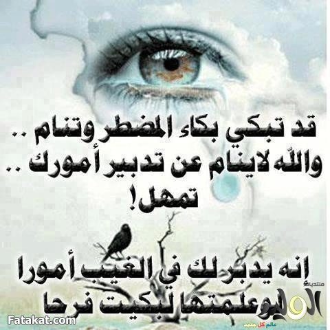 الحب الكبير (@sobh_yaser) on Twitter photo 
