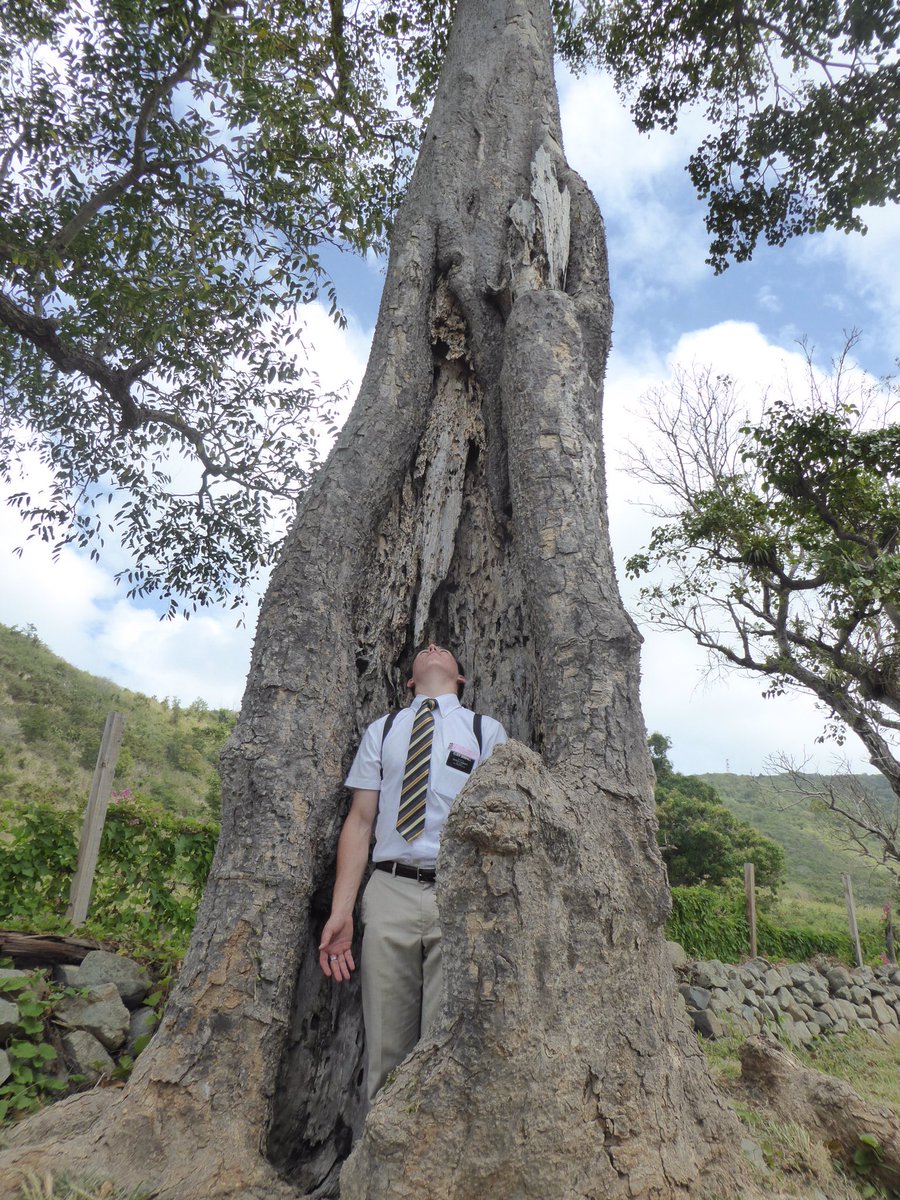 brycebrimhall44's tweet photo. Bryce will leave beautiful St. Martin and will be back on beautiful Martinique this week. Only 7 months left, but has many adventures ahead. https://t.co/Kh2CzGPS7L