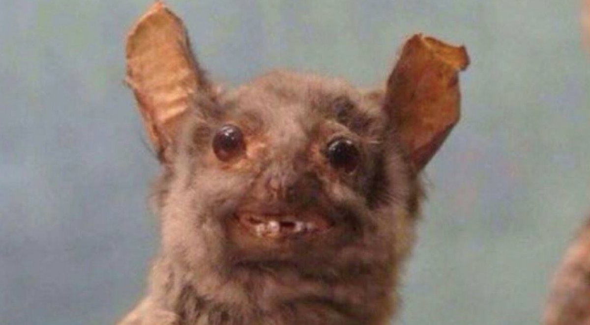 PetraHitchens's tweet photo. Crush: Wyd?

Me: In bed

*incoming Facetime video*

Me: https://t.co/mVKDQell7s