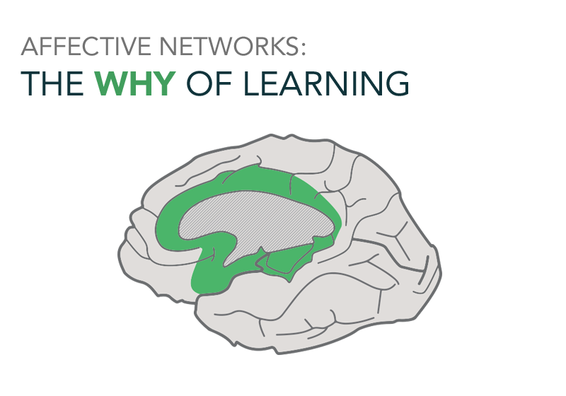 AtlanticUDL's tweet image. #TuesdayTip - "Engagement: For purposeful, motivated learners, STIMULATE interest and motivation for learning." cast.org #UDL