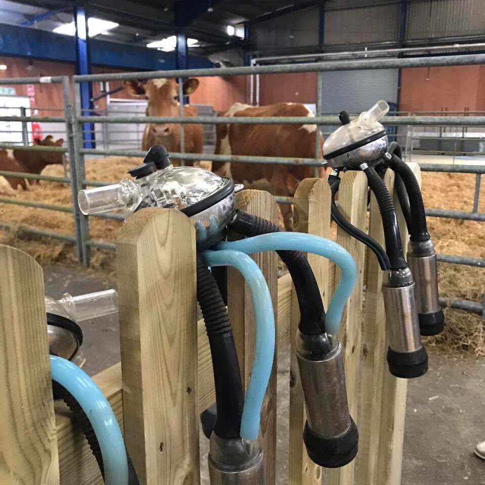 BathandWestShow's tweet photo. Tomorrow we welcome 600 Primary School Children to our Field to Food Learning Day to teach them where their food comes from #charitytuesday https://t.co/DCEZjOfQVT