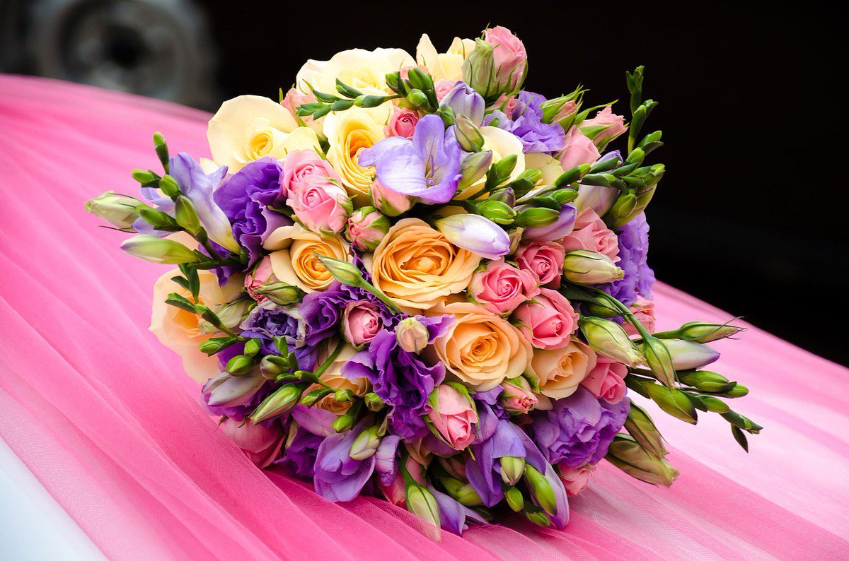 RingTheBellsDes's tweet photo. A guide to the flowers for your summer wedding https://t.co/UdVPTK7R5g https://t.co/Oo3KCGcjDM