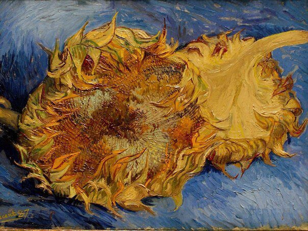 h. katsiaryna tweet media