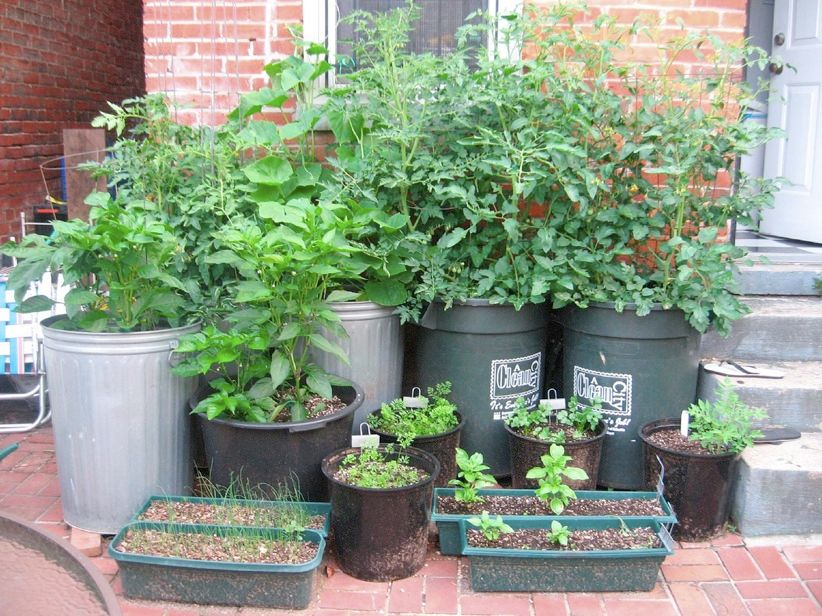 RedmanVans's tweet photo. No matter the size of your backyard, it’s possible to go green with a garden in any space. Check out how! https://t.co/CgeyMXhfno https://t.co/j2ovyxozJv