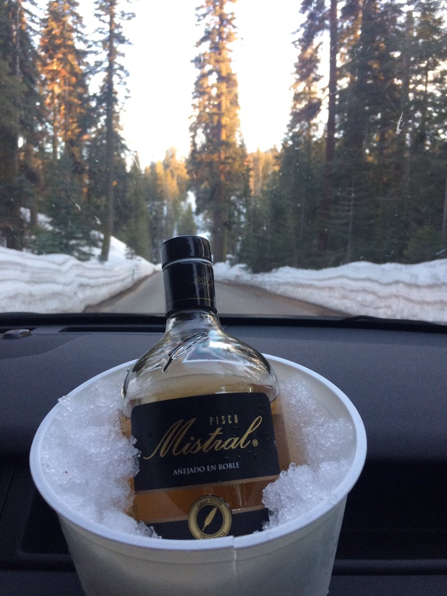 Con Pisco a todos lados!!! <a href="/Pisco_Mistral/">Pisco Mistral</a> <a href="/SequoiaKingsNPS/">Sequoia & Kings Cyn</a>