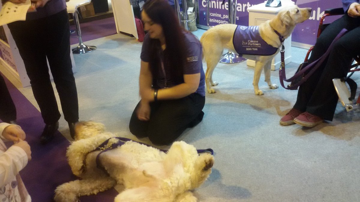 Artsmarkaward's tweet photo. Some more pics of the dogs @canine_partners @EducationShow on Sat. They were very popular! 😀🐕#EdShow17 #mansbestfriend https://t.co/xsawdg5I7h
