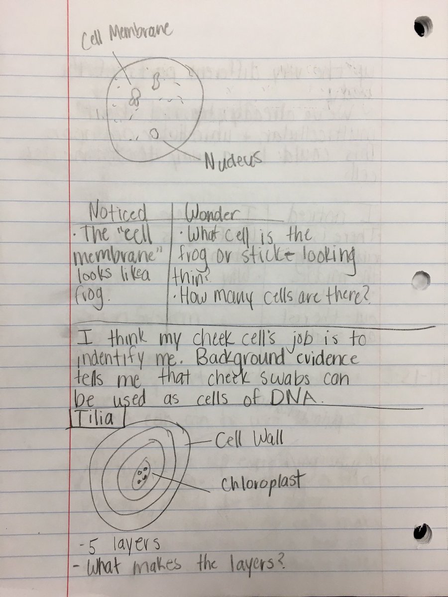 csawicki2's tweet image. A BIG shout out 2 our student-centered lab participants &amp;amp; our host Mr. May! @lcscience6 @SweeneyDiane #theLCMSride #interactivenotebooks