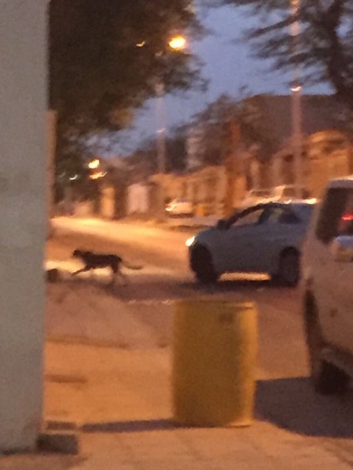 View image on Twitter