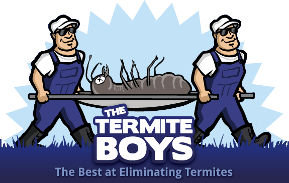 TermiteBoys's tweet photo. Termites don't stand a chance with us, contact The Termite Boys today! https://t.co/0ZMcPcvXD4 #boston #pestcontrol #mapest #bostonpest https://t.co/HXIi7S3gZQ