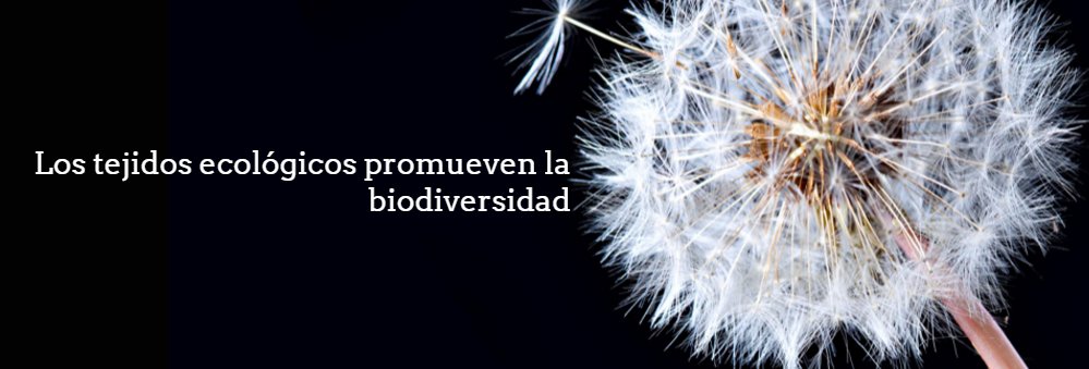 crisbmodaeco's tweet photo. Los tejidos ecológicos promueven la biodiversidad https://t.co/eRJPeonL5L #modaZaragoza #modasostenible https://t.co/Maf7AsyVyE