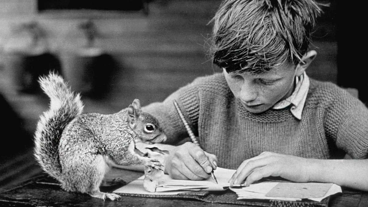 MiaEng's tweet photo. "...a lifetime of #learning can be a success in itself" https://t.co/aWDanUA80f @johnwcoleman @HarvardBiz #leadership https://t.co/TC0n2dUllD