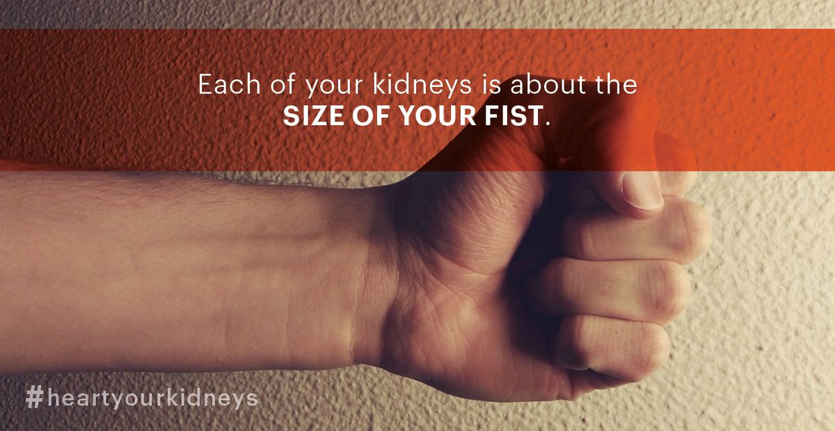 NKF CT & W. MA tweet media