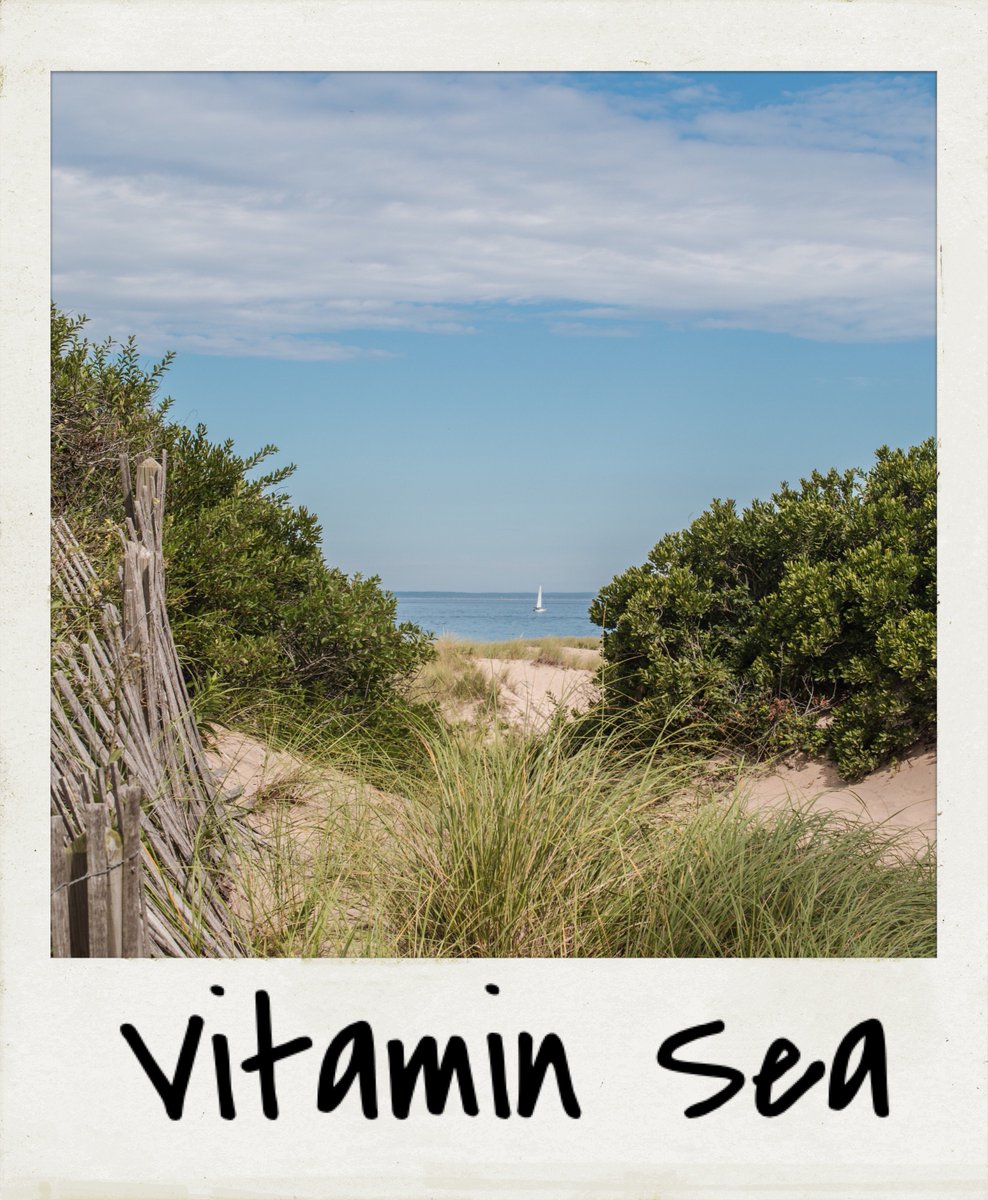Polaroid's tweet photo. RT if you need your daily dose of the sea 😍 https://t.co/vGqE18Fp1N