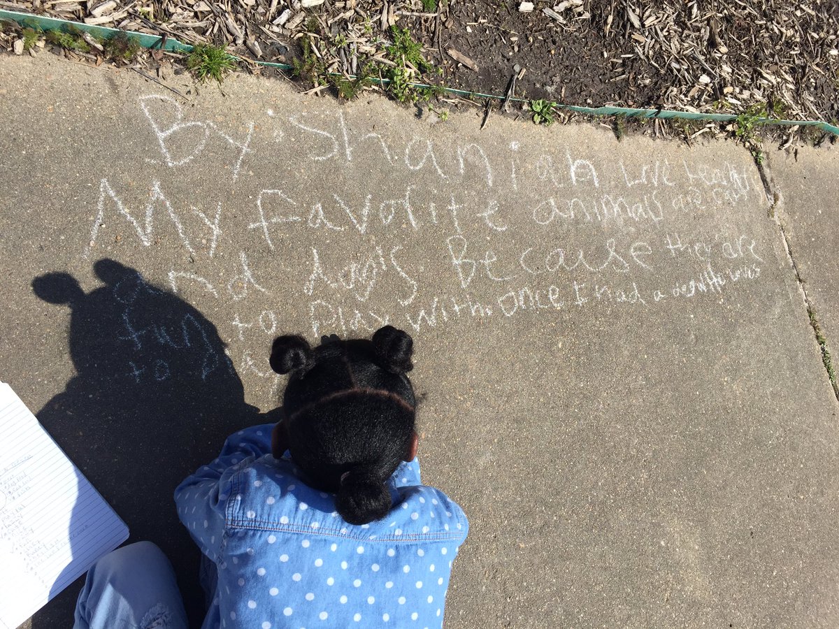 DrTower_Reading's tweet photo. Publishing "Cats and Dogs"@Providence_ES @Robinson_PES https://t.co/kDyReJ1Ab7