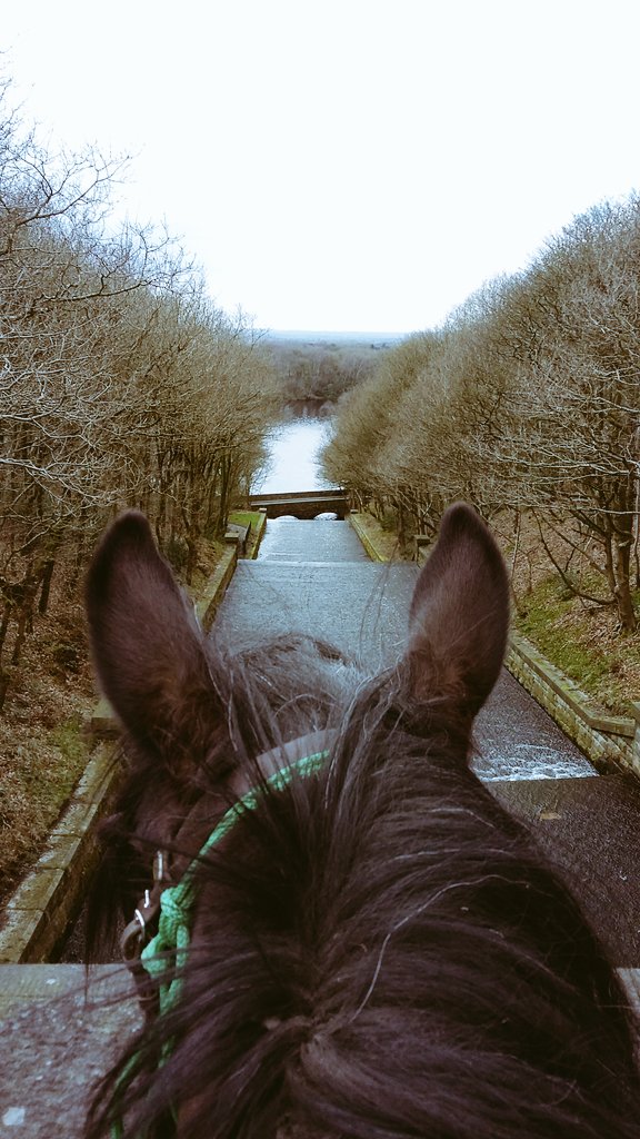 Barefrills's tweet photo. #SuperTuesday Pony time @Rivington with @Penniewitch #WhatAView https://t.co/fnn7M69ae4