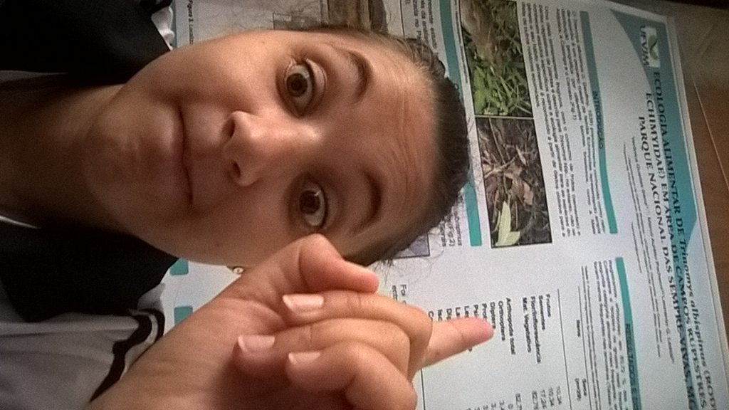vevesena's tweet photo. Quando tem apresentação e voc ainda tem que estudar #sintegra #sientrega #quasetcc https://t.co/1twkwfcePY