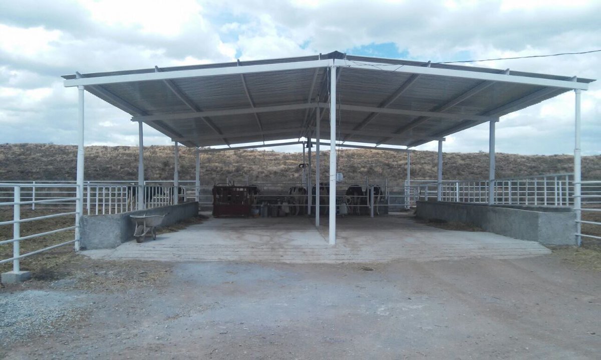 DEL3Conaza's tweet photo. Proyecto #PRODEZA beneficia a 12 mujeres ganaderas del Ejido San Isidro de Gómez, General Cepeda #Coahuila https://t.co/eoYTB4piMT