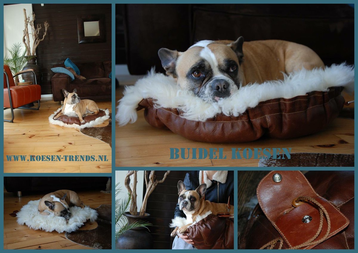 Nieuw in assortiment Buidel Koesen als mandje kleed en als tas te gebruiken en beide zijden draagbaar