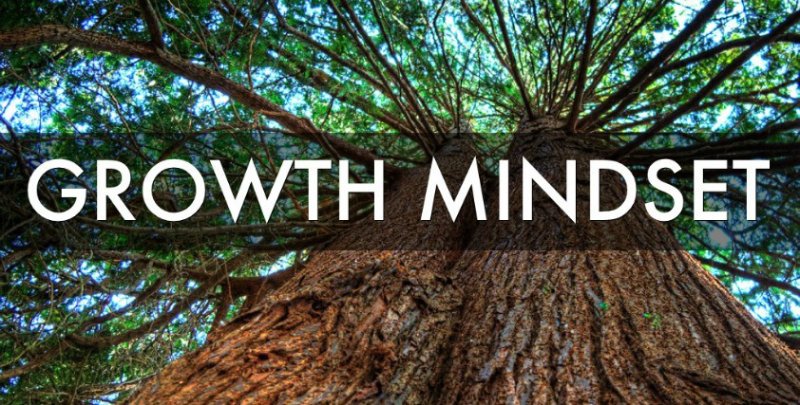TrittSTEAM's tweet photo. Join Tritt counselors tonight at 6 for a chat about Growth Mindsets!  #fixedvsgrowth  #thepowerofyet https://t.co/6ttvEB6Ong