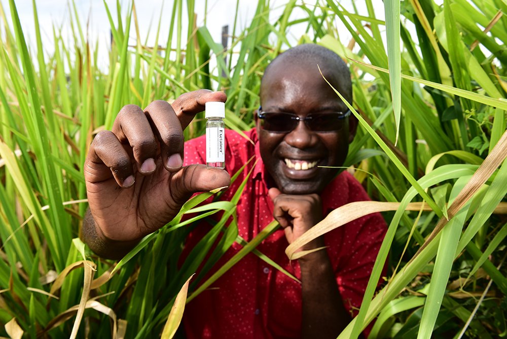 Diversitarian (@diversitarian) on Twitter photo Scientists make a splash with #urine experiment: bit.ly/2napoG8 <a href="/CIAT_/">CIAT</a> <a href="/andrezed/">Andre Zandstra</a> <a href="/ajarviscali/">Andy Jarvis</a> <a href="/cgiarclimate/">CGIAR Climate Action</a> #climatechange Scientists make a splash with #urine experiment: bit.ly/2napoG8 <a href="/CIAT_/">CIAT</a> <a href="/andrezed/">Andre Zandstra</a> <a href="/ajarviscali/">Andy Jarvis</a> <a href="/cgiarclimate/">CGIAR Climate Action</a> #climatechange