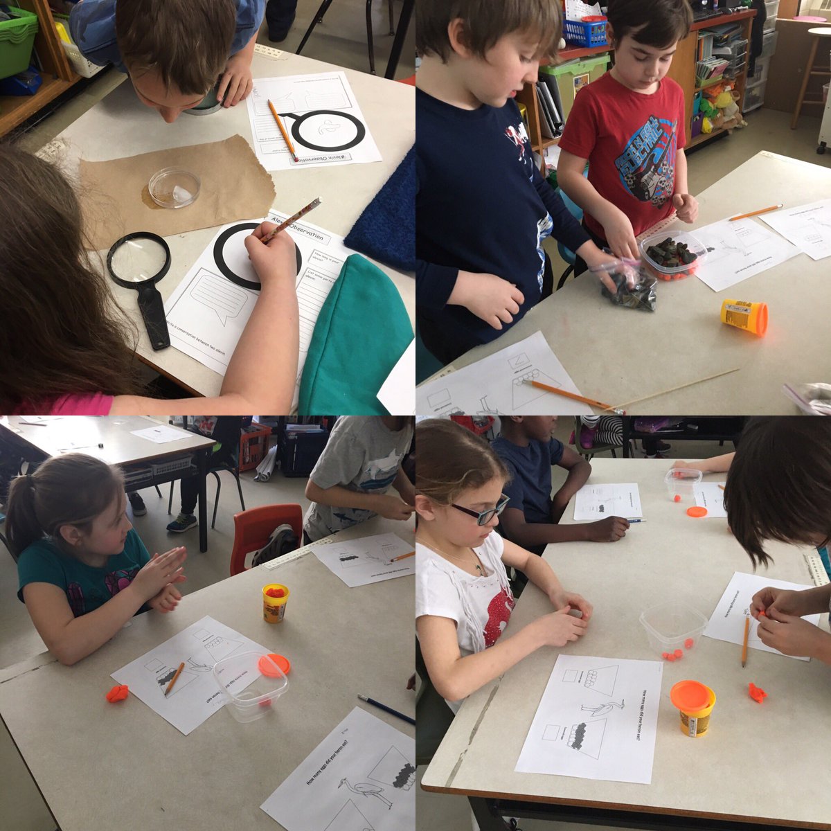 MrsP_SLES's tweet image. Creating "fish eggs" to see how predators prey on them and observing alevins! #miniscientists