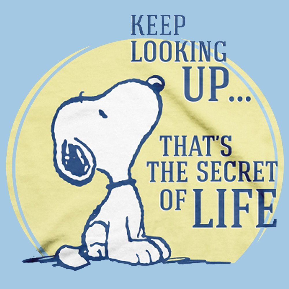 Snoopy Facts Keep Looking Up That S The Secret Of Life T Co Lm4l35q5yv Snoopyfacts Snoopy Peanuts Charlesschulz Quoteoftheday T Co 25nmnekzdz