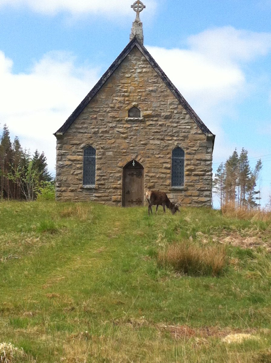 CyclingStraths's tweet photo. Some of the points on the #StrathnaverChallenge. Find route details here: https://t.co/E7lOamaFDe #NC500 #FromWhereIRide @VentureNorthSco https://t.co/5KNMappC9T