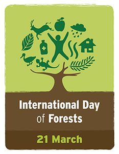 SustainableTSU's tweet photo. Today is #WorldForestry Day Check out their website to see how you can make an impact today! #sustainability #forest https://t.co/rOgqTSMLPN https://t.co/F4PiElphjn