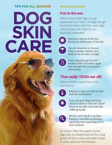 Furry friends need skin TLC too! #tipTuesday