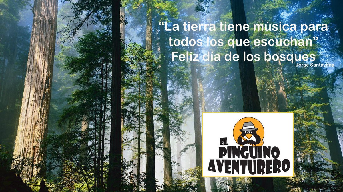 InfoPinguino's tweet photo. feliz día de los #bosques¡¡¡¡
#ecología #biodiversidad #sostinibilidad #turismoresponsable #turismo https://t.co/eM1GhKqDOg