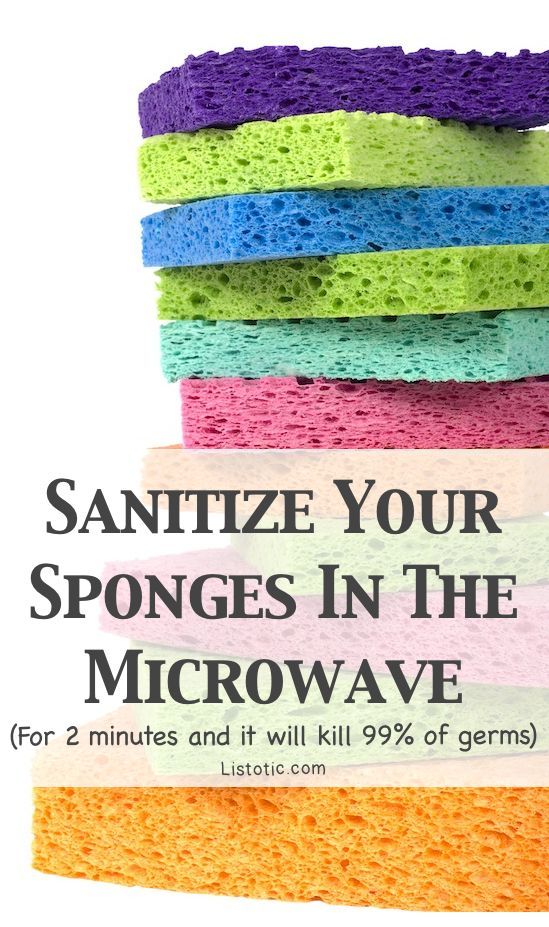 ModestMaids's tweet image. Are sponges leaving more bacteria behind than they are cleaning up? Don't forget to sanitize them! 😀
modestmaids.com
#Springcleaning