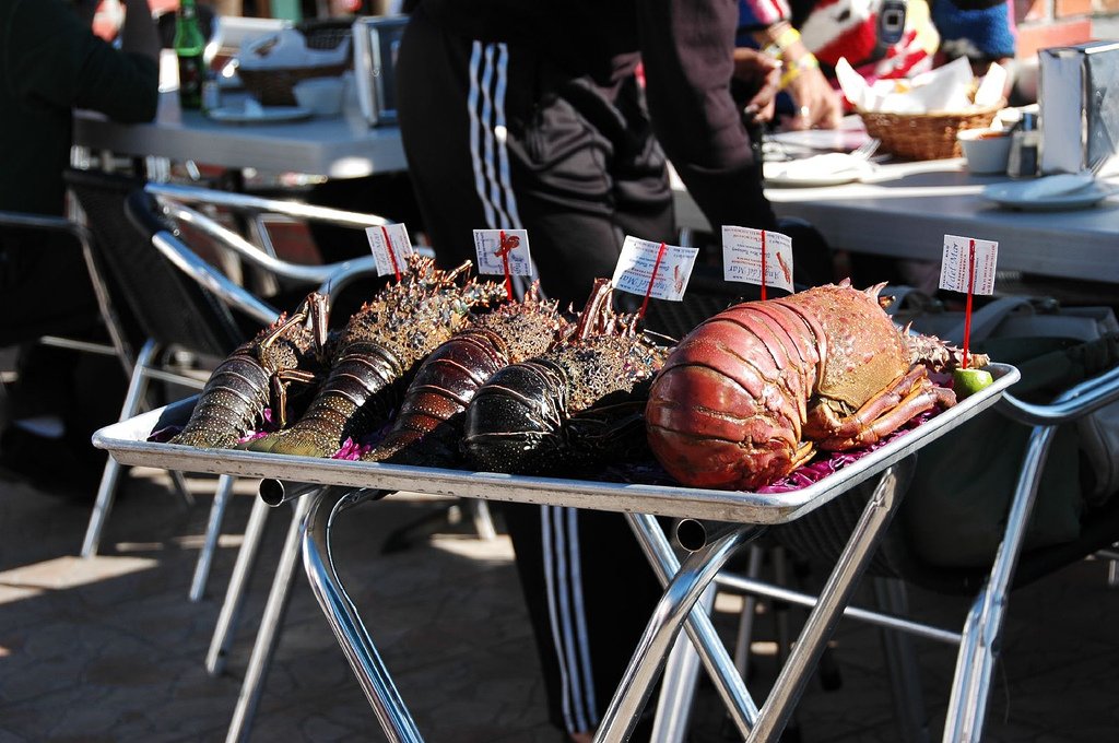 I want the big one!

Puerto Nuevo, #Baja