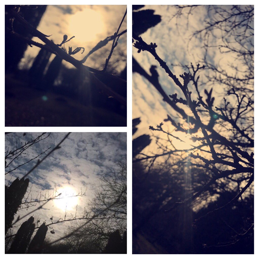 TCol_MediaTeam's tweet photo. #KS3 #MediaTeam girls are looking for #Spring through their photo cameras. #photography #essay #WorldPoetryDay https://t.co/6of3q4U4Bv