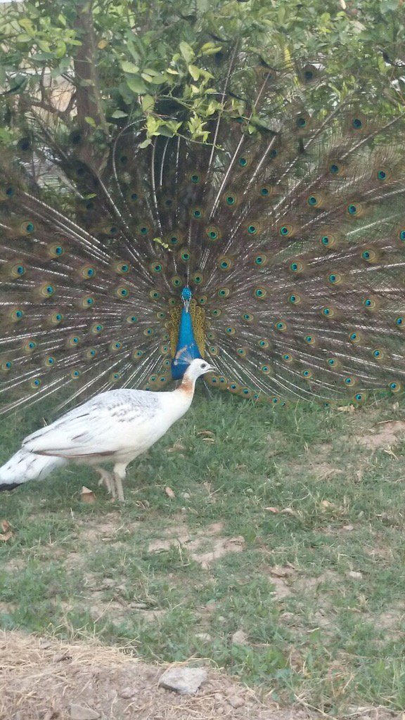 9556Said's tweet photo. https://t.co/RCkVCoueXB