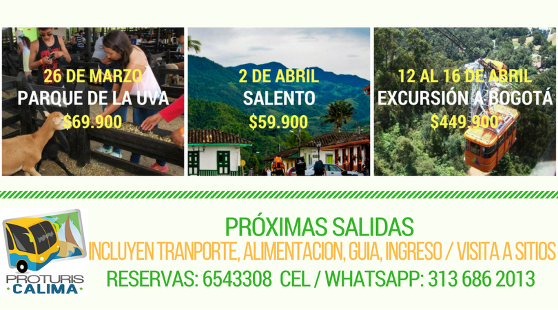 proturiscalima's tweet image. Tenemos las mejores pasadías y excursiones a los mejores precios. Reservas en el 6543308 CEL/WHATSAPP 313 686 2013 PROTURISMOCALIMA.COM