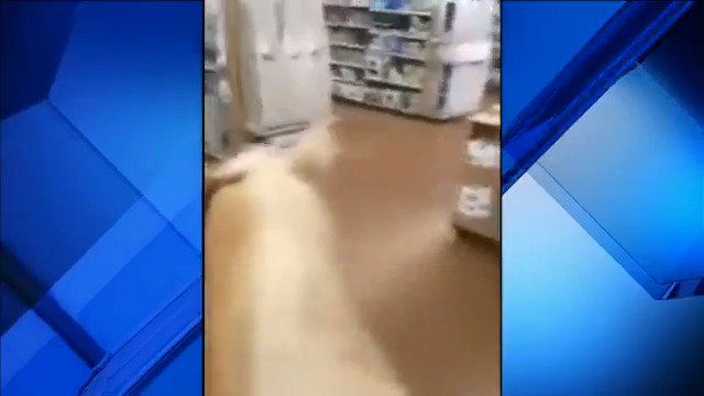 WATCH VIDEO Men shock customers, ride horses through @Walmart bit.ly/2o19yeo https://t.co/dRMMlFTTiY