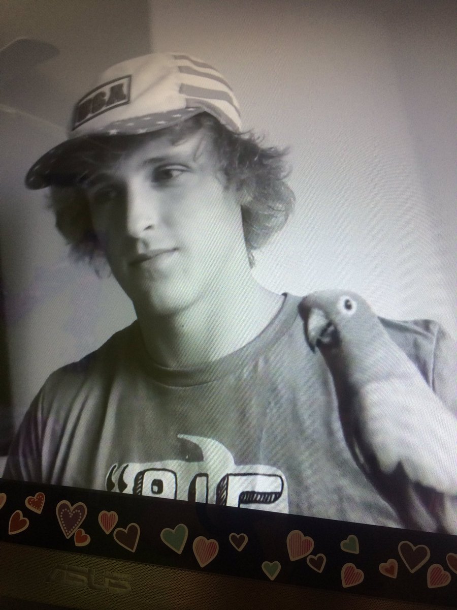 cheercrazy26's tweet photo. When you were planning on going to Cali to see your fave YouTuber and then they tell you you can't go... @LoganPaul 😢☹️😭 https://t.co/xOQWZiDAJF
