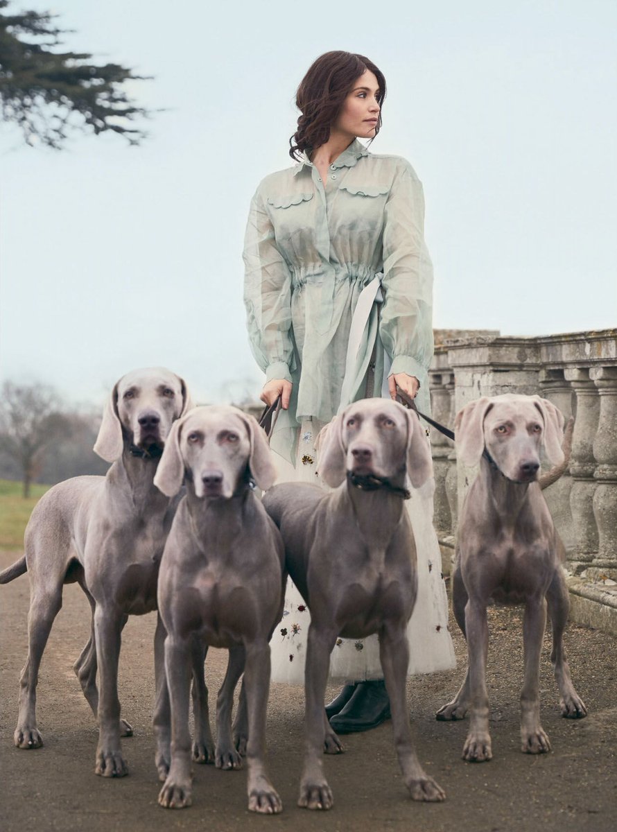 artertonspain's tweet photo. #GemmaArterton photoshoot para Town &amp; Country Magazine, 2017 https://t.co/wEtKCdoe77 https://t.co/GbnSxVjRpT